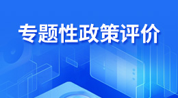 专题性政策评价