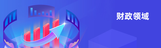 财政领域