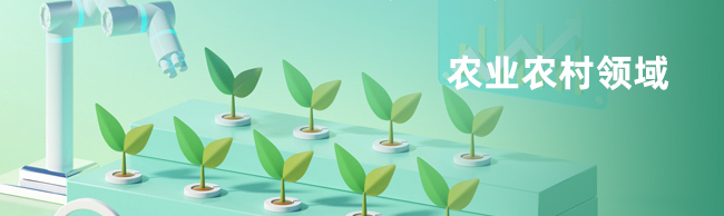 农业农村领域