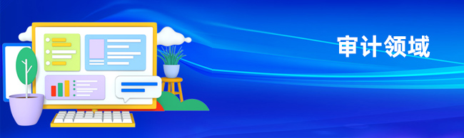 审计领域